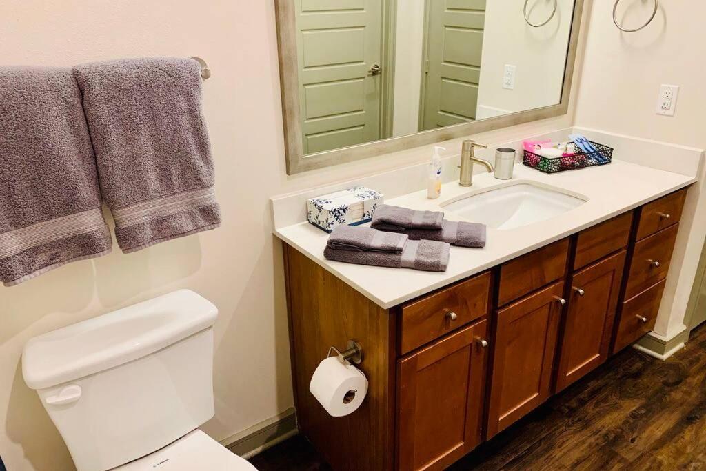 New Apart Downtown - 5Min Stadium/Parks/Museum Apartamento Houston Exterior foto